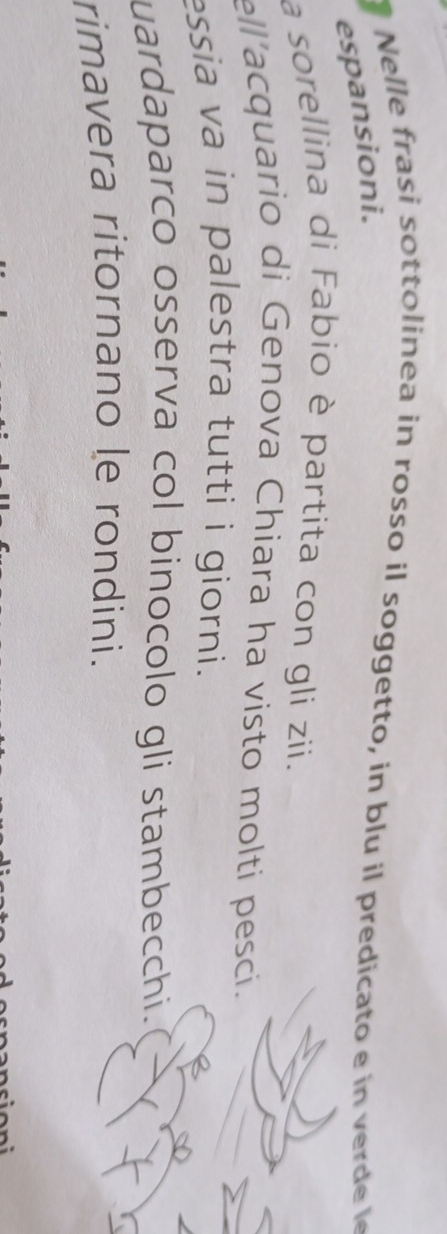 Nelle frasi sottolinea in rosso il soggetto, in blu il predicato e i 
espansioni. 
a sorellina di Fabio è partita con gli zii. 
ell'acquario di Genova Chiara ha visto molti pesci. 
essia va in palestra tutti i giorni. 
uardaparco osserva col binocolo gli stambecchi. 
rimavera ritornano le rondini.