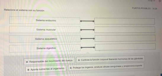 do 17
PUNTOS POSIBLES : 14.29
Relacione el sistema con su función
Sistema endocrino
Sistema muscular
Sistema esquelético
Sistema digestivo
Responsable del movimiento del cuerpo. # Controla la función corporal liberando hormonas de las glándulas.
# Aporta nutrientes al organismo. #* Protege los órganos, produce células sanguíneas y proporciona soporte.