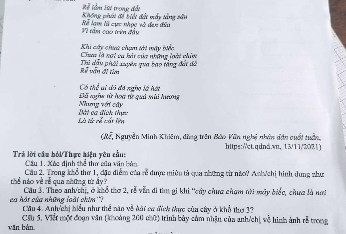Rễ lầm lũi trong đất 
Không phải để biết đất mấy tầng sâu 
Rễ lam lũ cực nhọc và đen đúa 
Vì tầm cao trên đầu 
Khi cây chưa chạm tới mây biếc 
Chưa là nơi ca hót của những loài chim 
Thì dẫu phải xuyên qua bao tầng đất đá 
Rễ vẫn đi tìm 
Có thể ai đó đã nghe lá hát 
Đã nghe từ hoa từ quả mùi hương 
Nhưng với cây 
Bài ca đích thực 
Là từ rễ cất lên 
(Rễ, Nguyễn Minh Khiêm, đăng trên Báo Văn nghệ nhân dân cuối tuần, 
https://ct.qdnd.vn, 13/11/2021) 
Trả lời câu hỏi/Thực hiện yêu cầu: 
Câu 1. Xác định thể thơ của văn bản. 
Câu 2. Trong khổ thơ 1, đặc điểm của rễ được miêu tả qua những từ nào? Anh/chị hình dung như 
thế nào về rễ qua những từ ấy? 
Câu 3. Theo anh/chị, ở khổ thơ 2, rễ vẫn đi tìm gì khi “cây chưa chạm tới mây biếc, chưa là nơi 
ca hót của những loài chim''? 
Câu 4. Anh/chị hiểu như thế nào về bài ca đích thực của cây ở khổ thơ 3? 
Cầu 5. Viết một đoạn văn (khoảng 200 chữ) trình bày cảm nhận của anh/chị về hình ảnh rễ trong 
văn bản.
