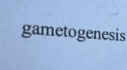 gametogenesis