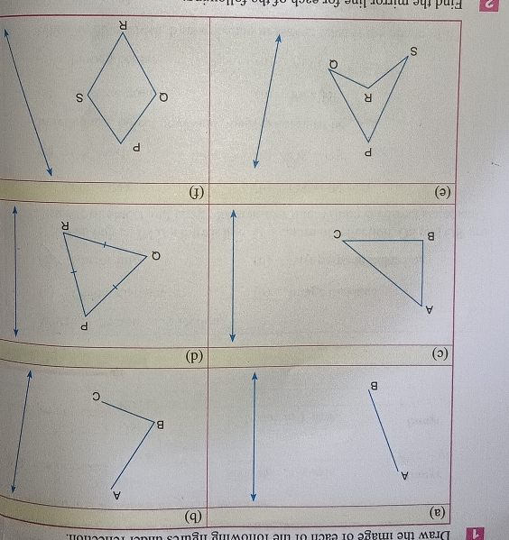 (ə) 
(p) (ɔ) 
8 
8 
(q) 
(e) 
Sumquol au 1º uara 1º 2ári am mbig