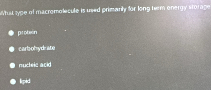 What type of macromolecule is used primarily for long term energy storage
protein
carbohydrate
nucleic acid
lipid