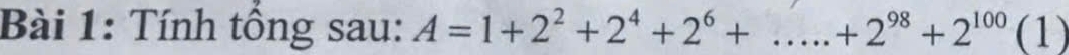 Tính tổng sau: A=1+2^2+2^4+2^6+....+2^(98)+2^(100)(1)