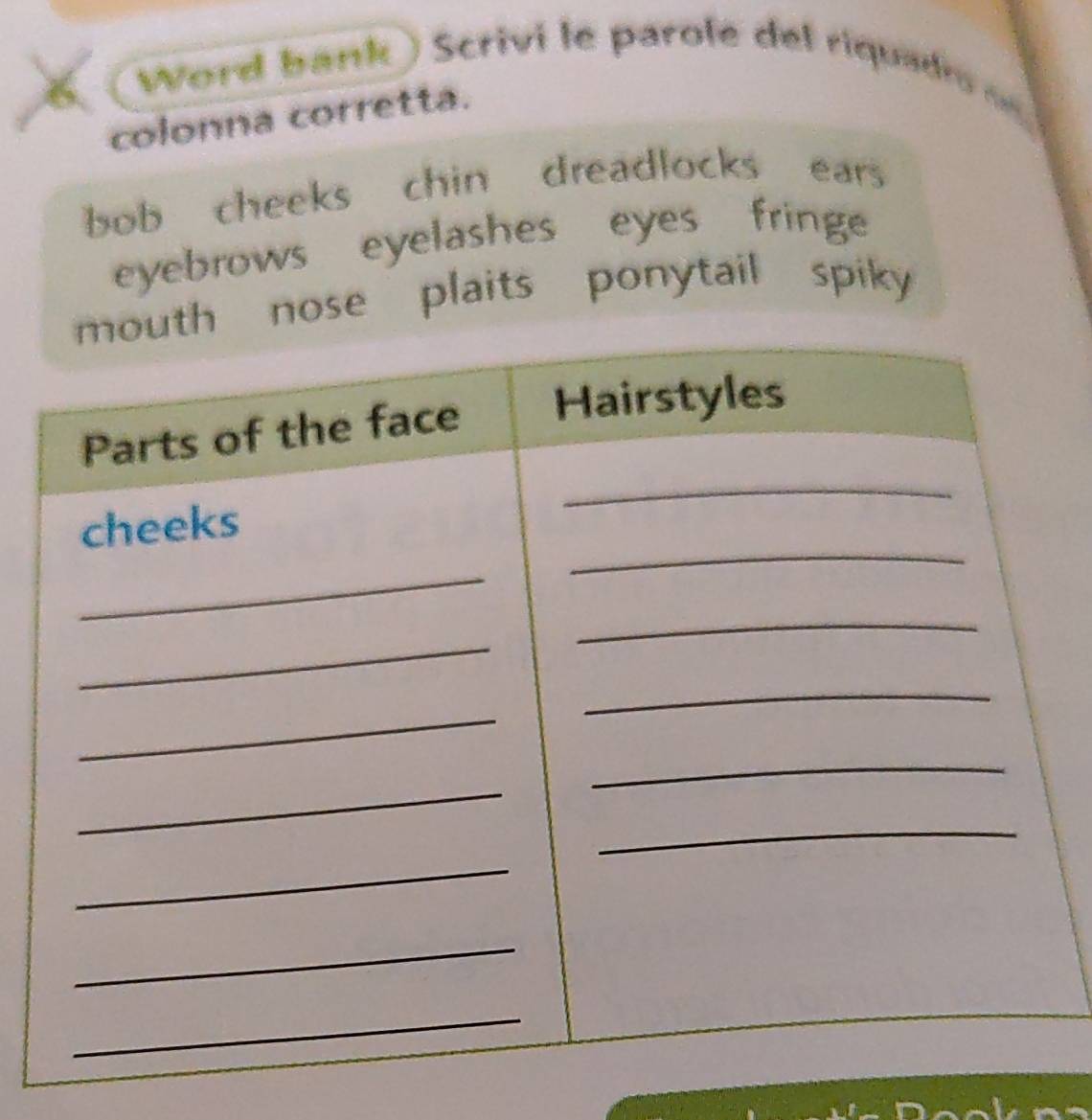 ord ak S crivi e par e de riquadr 
colonna corretta.
bob cheeks chin dreadlocks ears
eyebrows eyelashes eyes fringe
nose plaits ponytail spiky