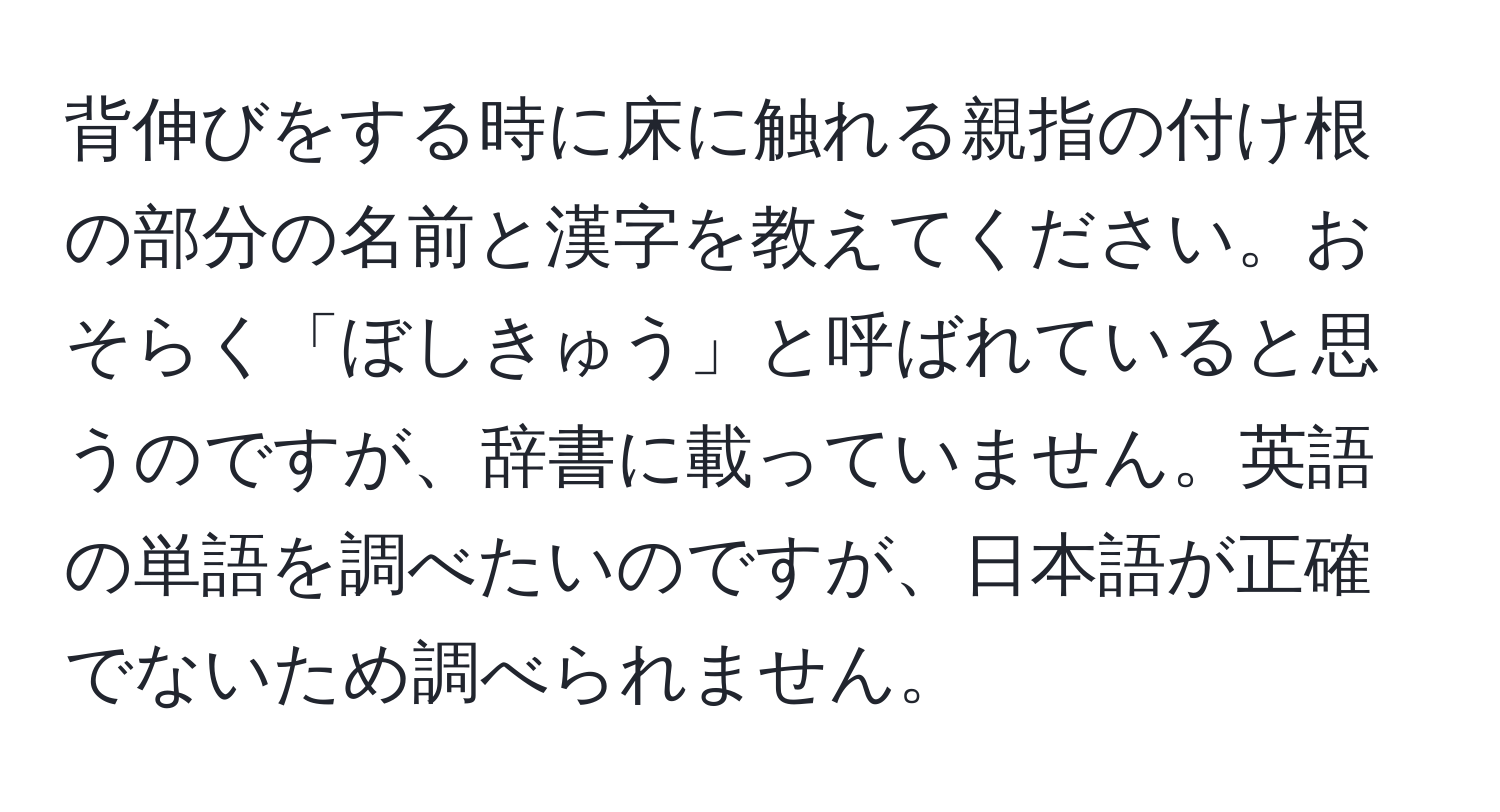 背伸びをする時に床に触れる親指の付け根の部分の名前と漢字を教えてください。おそらく「ぼしきゅう」と呼ばれていると思うのですが、辞書に載っていません。英語の単語を調べたいのですが、日本語が正確でないため調べられません。