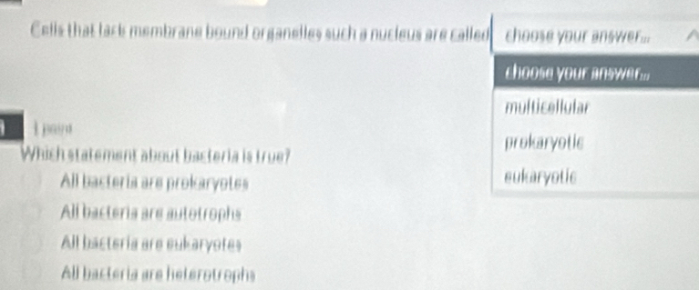 Cells that lack membrane bound organelles such a nucleus are called choose your answer ...
choose your answe....
multicellular
l pay d
prokaryotic
Which statement about bacteria is true?
All bacteria are prokaryotes sukaryotic
All bacteria are autotrophs
All bacteria are eukaryotes
All bacteria are heterotrophs