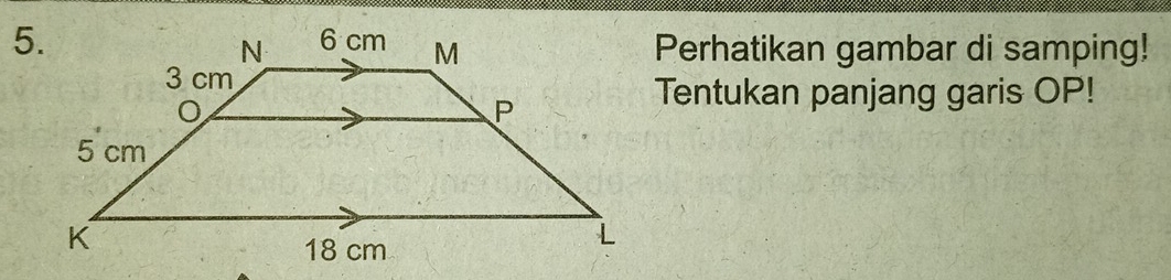 Perhatikan gambar di samping! 
Tentukan panjang garis OP!