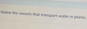 Name the vessels that transport water in plants.