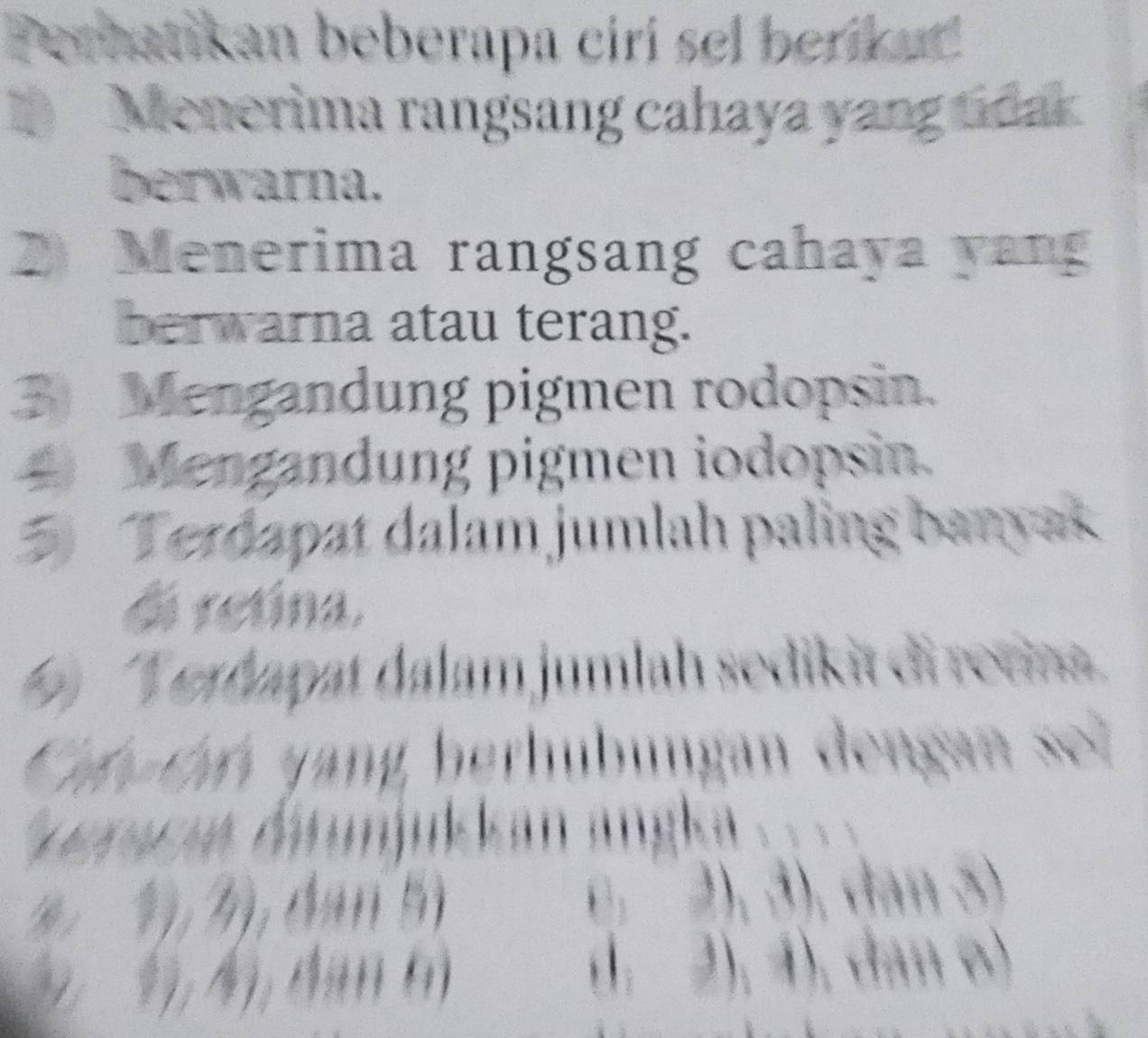 Perhatikan beberapa ciri sel beriku 
1 Menerima rangsang cahaya yang tidak 
berwarna. 
2 Menerima rangsang cahaya yang 
berwarna atau terang. 
3 Mengandung pigmen rodopsin. 
Mengandung pigmen iodopsin. 
Terdapat dalam jumlah paling banyak 
di retina. 
6 'Verðapat dalam jumlah sedikit di renia 
Ca ta yang herhubungan dengan sei 
aracia dunjukan angla ==== 
1,3),(tan 5
B,2),3), 3 4)
9,4), 4800
| 21,4)