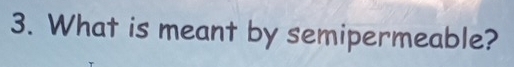 What is meant by semipermeable?