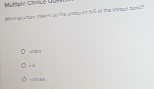 Solved: Quest What structure makes up the posterior 5/6 of the fibrous ...