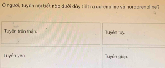 Ở người, tuyến nội tiết nào dưới đây tiết ra adrenaline và noradrenaline?
Tuyến trên thận. Tuyền tụy.
Tuyến yên. Tuyến giáp.