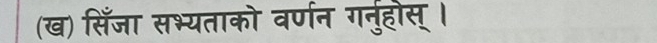 (ख) सिंँजा सभ्यताको वर्णन ग्नुहोस् ।