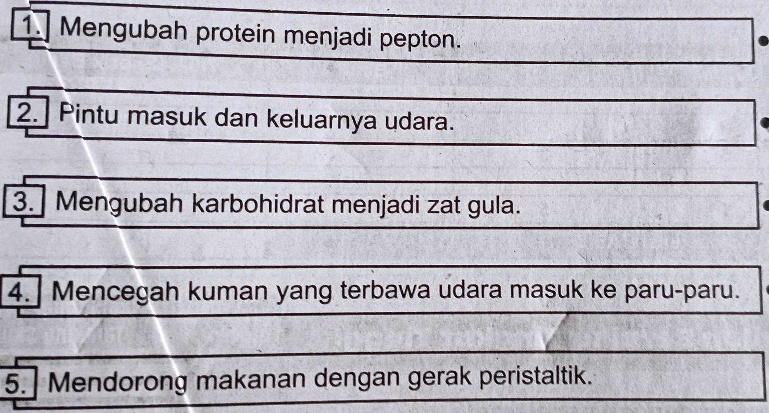 Mengubah protein menjadi pepton. 
2. Pintu masuk dan keluarnya udara. 
3. Mengubah karbohidrat menjadi zat gula. 
4. Mencegah kuman yang terbawa udara masuk ke paru-paru. 
5. Mendorong makanan dengan gerak peristaltik.