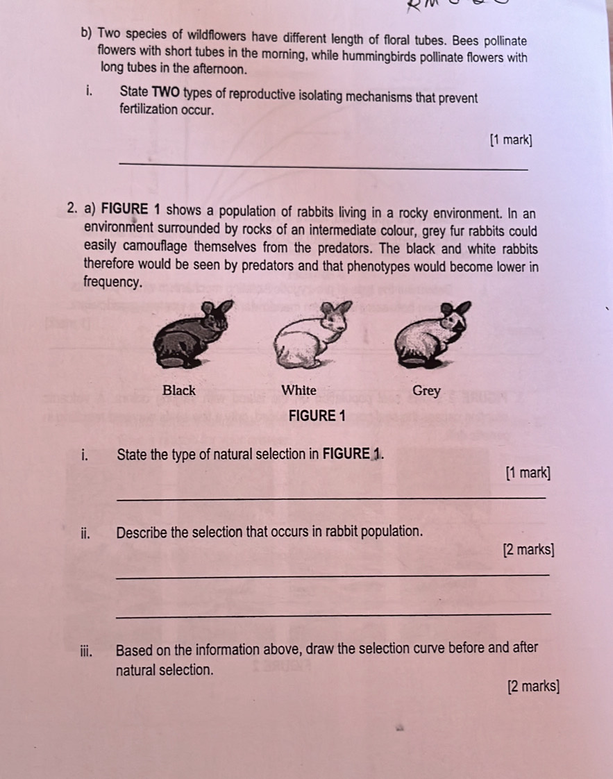 Two species of wildflowers have different length of floral tubes. Bees pollinate 
flowers with short tubes in the morning, while hummingbirds pollinate flowers with 
long tubes in the afternoon. 
i. State TWO types of reproductive isolating mechanisms that prevent 
fertilization occur. 
[1 mark] 
_ 
2. a) FIGURE 1 shows a population of rabbits living in a rocky environment. In an 
environment surrounded by rocks of an intermediate colour, grey fur rabbits could 
easily camouflage themselves from the predators. The black and white rabbits 
therefore would be seen by predators and that phenotypes would become lower in 
frequency. 
Black White Grey 
FIGURE 1 
i. State the type of natural selection in FIGURE 1. 
[1 mark] 
_ 
ii. Describe the selection that occurs in rabbit population. 
[2 marks] 
_ 
_ 
iii. Based on the information above, draw the selection curve before and after 
natural selection. 
[2 marks]