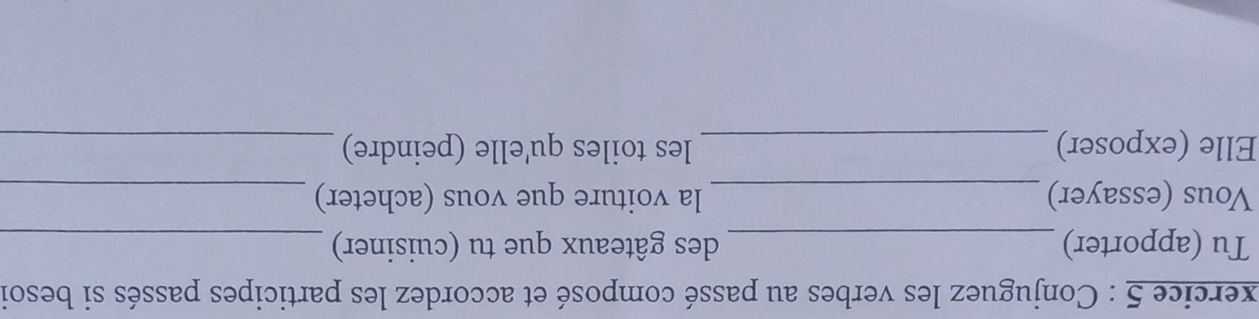 xercice 5 : Conjuguez les verbes au passé composé et accordez les participes passés si besoi 
Tu (apporter) _des gâteaux que tu (cuisiner)_ 
Vous (essayer) _la voiture que vous (acheter)_ 
Elle (exposer) _les toiles qu'elle (peindre)_