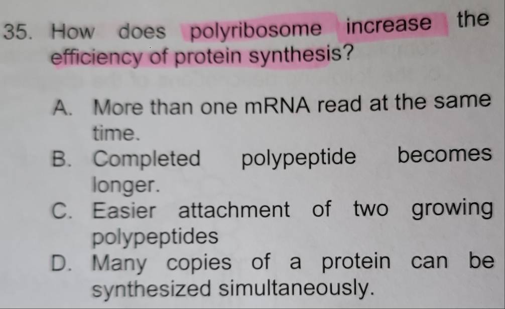 How does polyribosome increase the
efficiency of protein synthesis?
A. More than one mRNA read at the same
time.
B. Completed polypeptide becomes
longer.
C. Easier attachment of two growing
polypeptides
D. Many copies of a protein can be
synthesized simultaneously.