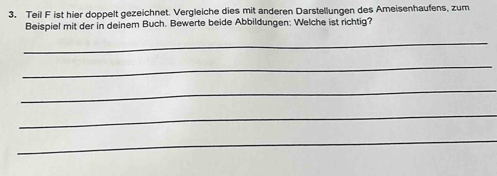 Teil F ist hier doppelt gezeichnet. Vergleiche dies mit anderen Darstellungen des Ameisenhaufens, zum 
Beispiel mit der in deinem Buch. Bewerte beide Abbildungen: Welche ist richtig? 
_ 
_ 
_ 
_ 
_