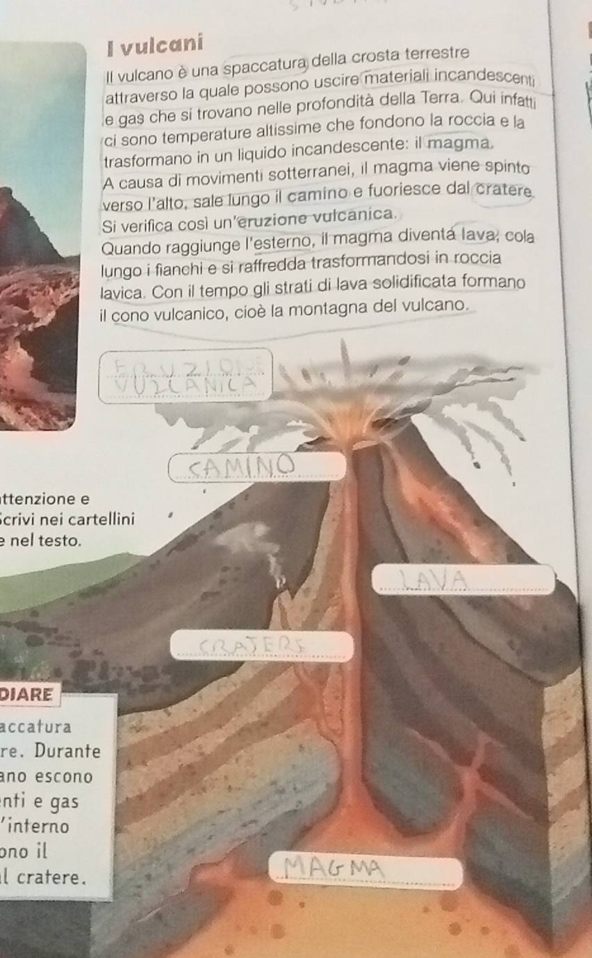 vulcani 
Il vulcano è una spaccatura della crosta terrestre 
attraverso la quale possono uscire materiali incandescenti 
e gas che si trovano nelle profondità della Terra. Qui infatti 
ci sono temperature altíssime che fondono la roccia e la 
trasformano in un liquido incandescente: il magma, 
A causa di movimenti sotterranei, il magma viene spinto 
verso l'alto, sale lungo il camino e fuoriesce dal cratere 
Si verifica così un'eruzione vulcanica. 
Quando raggiunge l'esterno, il magma diventá lava, cola 
lungo i fianchi e si raffredda trasformandosi in roccia 
lavica. Con il tempo gli strati di lava solidificata formano 
il cono vulcanico, cioè la montagna del vulcano. 
CAMINO 
ttenzione e 
crivi nei cartellini 
nel testo. 
CRATERS 
DIARE 
accatura 
re、 Durante 
año escono 
nti e gas 
'interno 
ono il 
l cratere.