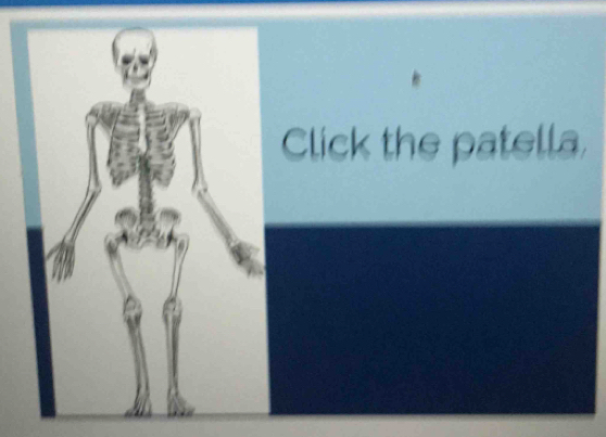 Click the patella