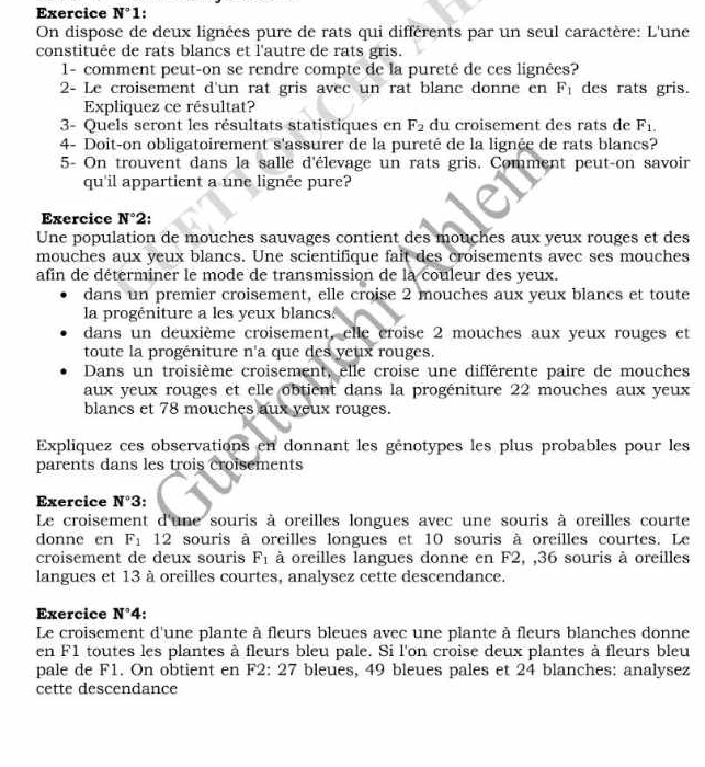 Exercice N°1.
On dispose de deux lignées pure de rats qui différents par un seul caractère: L'une
constituée de rats blancs et l'autre de rats gris.
1- comment peut-on se rendre compte de la pureté de ces lignées?
2- Le croisement d'un rat gris avec un rat blanc donne en F_1 des rats gris.
Expliquez ce résultat?
3- Quels seront les résultats statistiques en F_2 du croisement des rats de F_1.
4- Doit-on obligatoirement s'assurer de la pureté de la lignée de rats blancs?
5- On trouvent dans la salle d'élevage un rats gris. Comment peut-on savoir
qu'il appartient a une lignée pure?
Exercice N°2.
Une population de mouches sauvages contient des mouches aux yeux rouges et des
mouches aux yeux blancs. Une scientifique fait des croisements avec ses mouches
afin de déterminer le mode de transmission de la couleur des yeux.
dans un premier croisement, elle croise 2 mouches aux yeux blancs et toute
la progéniture a les yeux blancs.
dans un deuxième croisement, elle croise 2 mouches aux yeux rouges et
toute la progéniture n'a que des yeux rouges.
Dans un troisième croisement, elle croise une différente paire de mouches
aux yeux rouges et elle obtient dans la progéniture 22 mouches aux yeux
blancs et 78 mouches aux yeux rouges.
Expliquez ces observations en donnant les génotypes les plus probables pour les
parents dans les trois croisements
Exercice N°3.
Le croisement d'une souris à oreilles longues avec une souris à oreilles courte
donne en F_1 12 souris à oreilles longues et 10 souris à oreilles courtes. Le
croisement de deux souris F_1 à oreilles langues donne en F2, ,36 souris à oreilles
langues et 13 à oreilles courtes, analysez cette descendance.
Exercice N°4.
Le croisement d'une plante à fleurs bleues avec une plante à fleurs blanches donne
en F1 toutes les plantes à fleurs bleu pale. Si l'on croise deux plantes à fleurs bleu
pale de F1. On obtient en F2: 27 bleues, 49 bleues pales et 24 blanches: analysez
cette descendance