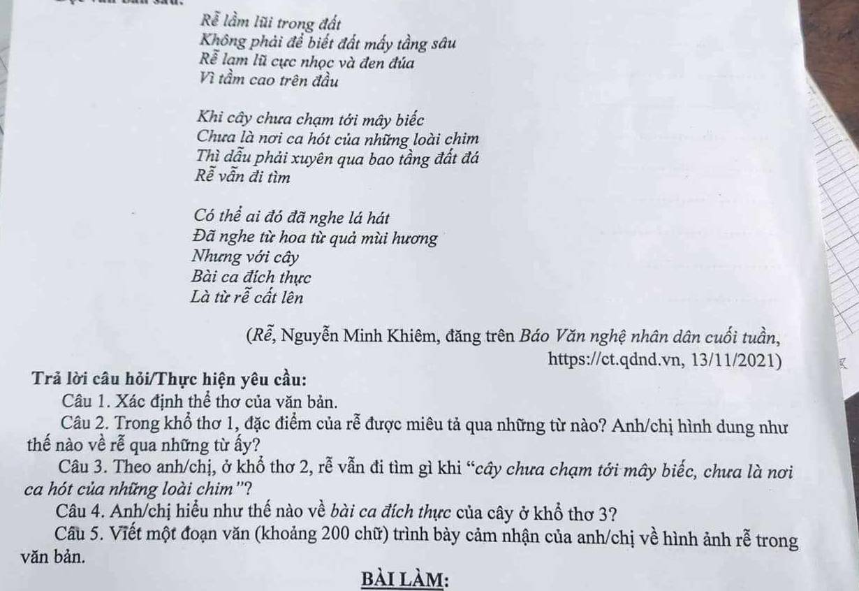 Rễ lầm lũi trong đất 
Không phải để biết đất mấy tầng sâu 
Rễ lam lũ cực nhọc và đen đúa 
Vì tầm cao trên đầu 
Khi cây chưa chạm tới mây biếc 
Chưa là nơi ca hót của những loài chim 
Thì dẫu phải xuyên qua bao tầng đất đá 
Rễ vẫn đi tìm 
Có thể ai đó đã nghe lá hát 
Đã nghe từ hoa từ quả mùi hương 
Nhưng với cây 
Bài ca đích thực 
Là từ rễ cất lên 
(Rễ, Nguyễn Minh Khiêm, đăng trên Báo Văn nghệ nhân dân cuối tuần, 
https://ct.qdnd.vn, 13/11/2021) 
Trả lời câu hỏi/Thực hiện yêu cầu: 
Câu 1. Xác định thể thơ của văn bản. 
Câu 2. Trong khổ thơ 1, đặc điểm của rễ được miêu tả qua những từ nào? Anh/chị hình dung như 
thế nào về rễ qua những từ ấy? 
Câu 3. Theo anh/chị, ở khổ thơ 2, rễ vẫn đi tìm gì khi “cây chưa chạm tới mây biếc, chưa là nơi 
ca hót của những loài chim ''? 
Câu 4. Anh/chị hiểu như thế nào về bài ca đích thực của cây ở khổ thơ 3? 
Cầu 5. Viết một đoạn văn (khoảng 200 chữ) trình bày cảm nhận của anh/chị về hình ảnh rhat e trong 
văn bản. 
bài làm: