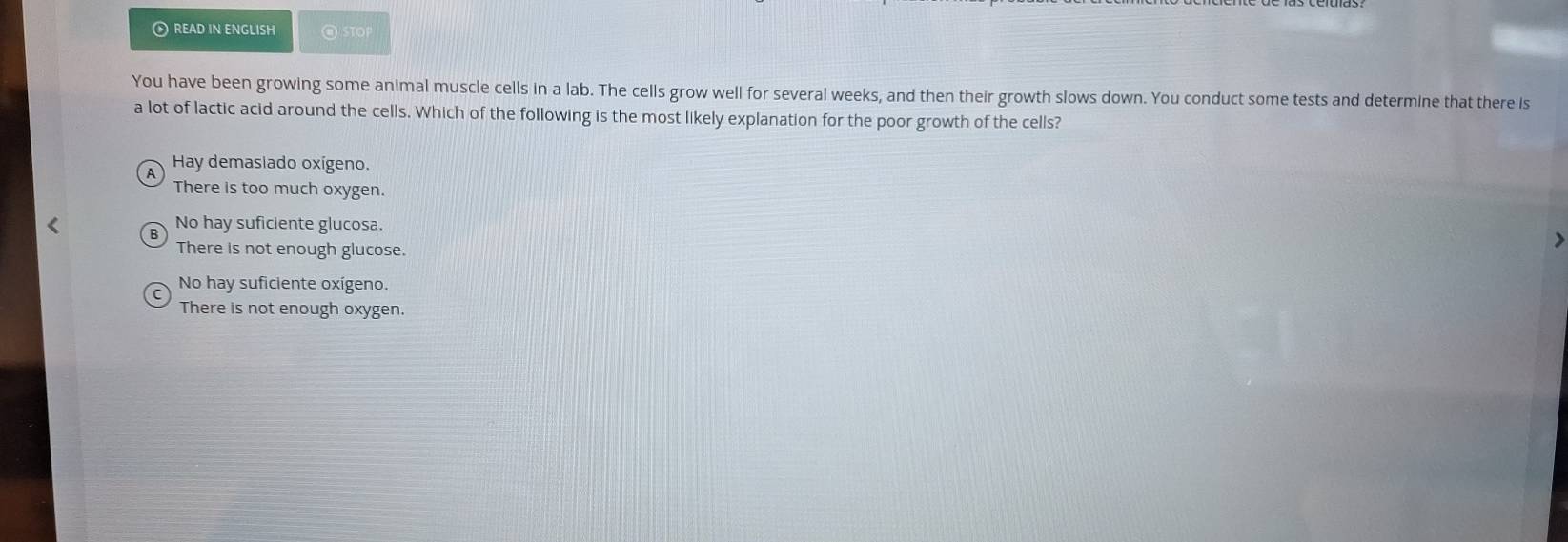 READ IN ENGLISH @ STOP
You have been growing some animal muscle cells in a lab. The cells grow well for several weeks, and then their growth slows down. You conduct some tests and determine that there Is
a lot of lactic acid around the cells. Which of the following is the most likely explanation for the poor growth of the cells?
Hay demasiado oxígeno.
There is too much oxygen.
No hay suficiente glucosa.
There is not enough glucose.
No hay suficiente oxígeno.
There is not enough oxygen.