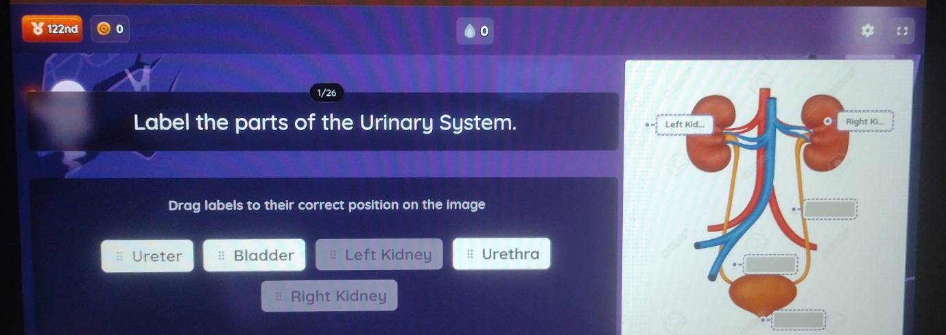 a 122nd 0
1/26
Label the parts of the Urinary System. 
Drag labels to their correct position on the image 
Ureter Bladder * Left Kidney ≡ Urethra 
Right Kidney