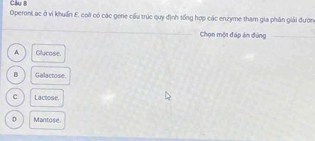 OperonLac ở vi khuẩn E. coli có các gene cấu trúc quy định tổng hợp các enzyme tham gia phân giải đườn
_
Chọn một đáp án đúng_
A Glucose.
B Galactose.
C Lactose.
D Mantose.