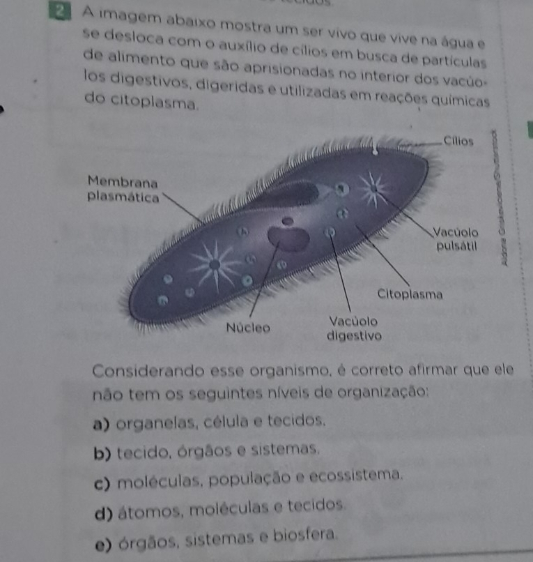 A imagem abaixo mostra um ser vivo que vive na água e
se desloca com o auxílio de cílios em busca de partículas
de alimento que são aprisionadas no interior dos vacúo
los digestivos, digeridas e utilizadas em reações químicas
do citoplasma.
Considerando esse organismo, é correto afirmar que ele
não tem os seguintes níveis de organização:
a) organelas, célula e tecidos.
b) tecido, órgãos e sistemas.
c) moléculas, população e ecossistema.
d) átomos, moléculas e tecidos.
e) órgãos, sistemas e biosfera.