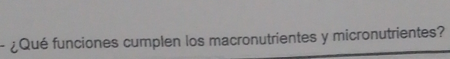 ¿Qué funciones cumplen los macronutrientes y micronutrientes?