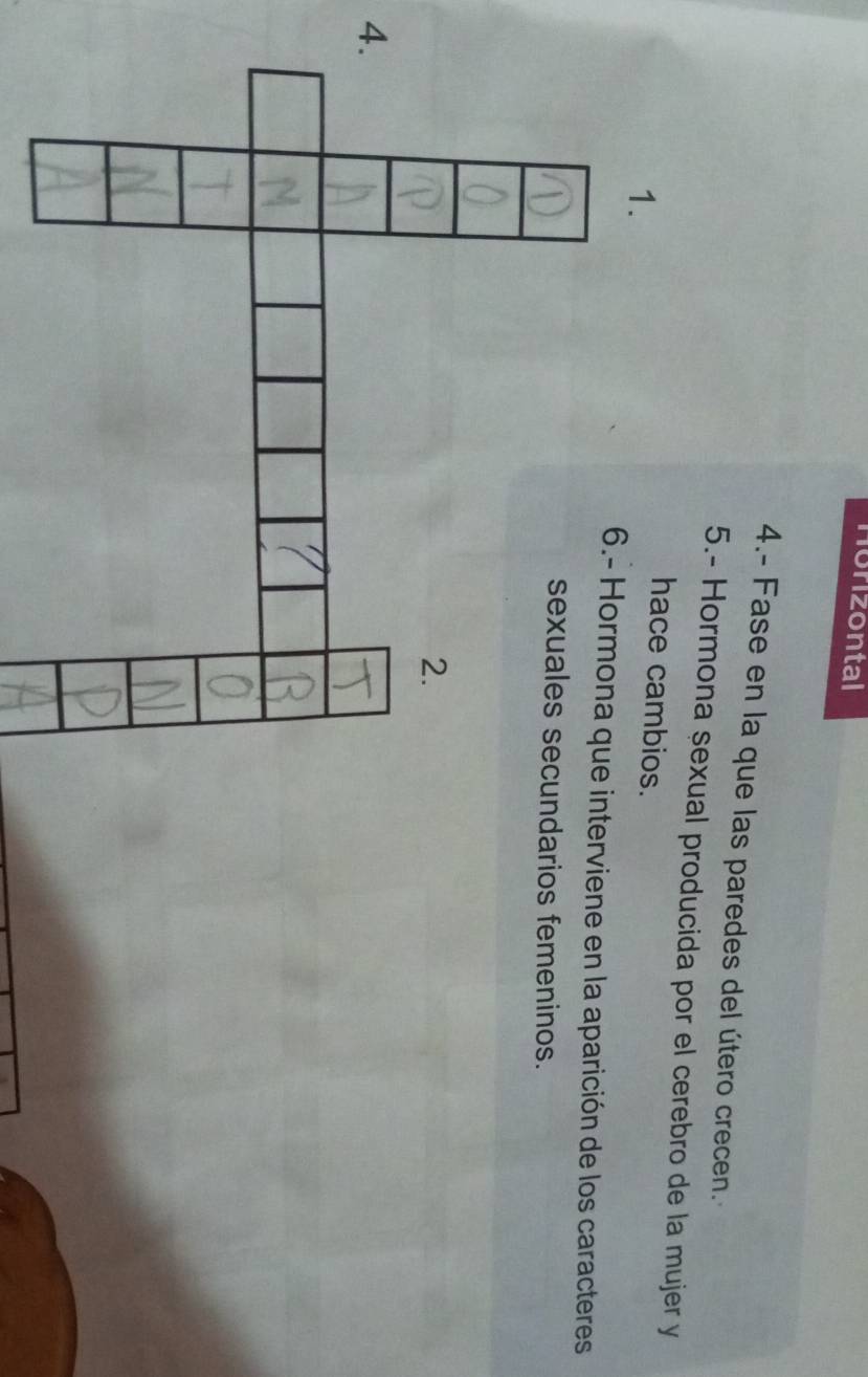 Horizontal 
4.- Fase en la que las paredes del útero crecen.. 
5.- Hormona sexual producida por el cerebro de la mujer y 
1. 
hace cambios. 
erviene en la aparición de los caracteres 
arios femeninos. 
4