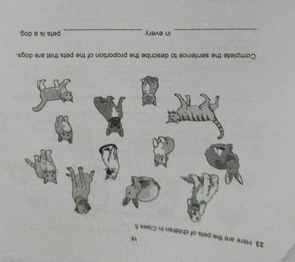 15 
23 Here are the pets of children in Class 5
Complete the sentence to describe the proportion of the pets that are dogs. 
_in every _pets is a dog.