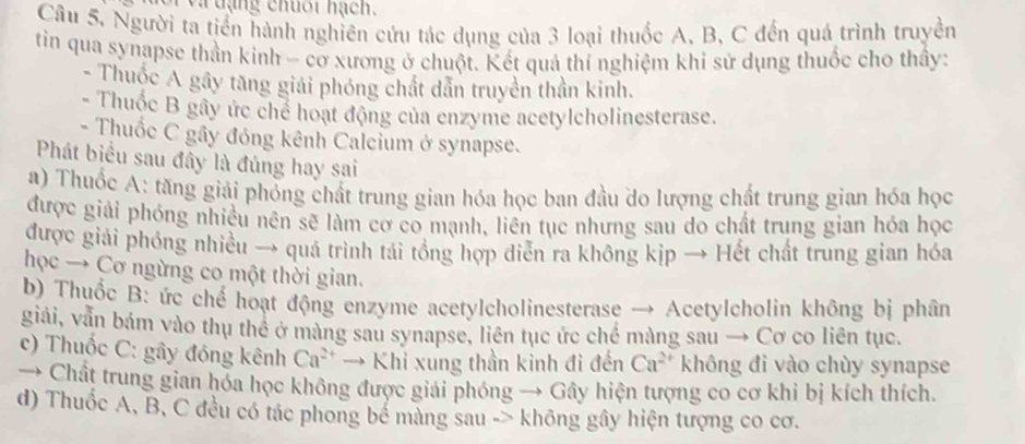 a va đạng chuối nạch.
Câu 5. Người ta tiển hành nghiên cứu tác dụng của 3 loại thuốc A, B, C đến quá trình truyền
tin qua synapse thần kinh - cơ xương ở chuột. Kết quả thí nghiệm khi sử dụng thuốc cho thầy:
- Thuốc A gây tăng giải phóng chất dẫn truyền thần kinh.
- Thuốc B gây ức chế hoạt động của enzyme acetylcholinesterase.
- Thuốc C gây đóng kênh Calcium ở synapse.
Phát biểu sau đây là đủng hay sai
a) Thuốc A: tăng giải phỏng chất trung gian hóa học ban đầu do lượng chất trung gian hóa học
được giải phóng nhiều nên sẽ làm cơ co mạnh, liên tục nhưng sau do chất trung gian hóa học
được giải phóng nhiều → quá trình tái tổng hợp diễn ra không kịp → Hết chất trung gian hóa
học → Cơ ngừng co một thời gian.
b) Thuốc B: ức chế hoạt động enzyme acetylcholinesterase → Acetylcholin không bị phân
giải, vẫn bám vào thụ thể ở màng sau synapse, liên tục ức chế màng sau → Cơ co liên tục.
c) Thuốc C: gây đóng kênh Ca^(2+) → Khi xung thần kinh đi đến Ca^(2+) không đi vào chùy synapse
→ Chất trung gian hóa học không được giải phóng → Gây hiện tượng co cơ khi bị kích thích.
d) Thuốc A, B, C đều có tác phong bể màng sau -> không gây hiện tượng co cơ.