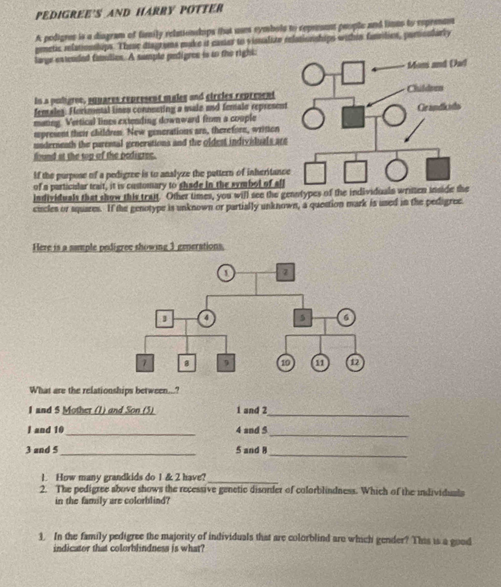 PEDIGREE'S AND HARRY POTTER 
A podigres is a diagram of fimily relationsups that use symbols to repreent people and limes to represent 
peetic relationships. Thuse diagrams make it casier to visualite relationships within funsilies, porticalarly 
large extended families. A sumple pedigres is to the right: 
in a peligree, squares represent maleg and circles represent 
fenales. Horimntal lises conneeting a male and female represent 
mating. Vertical lines extending downward from a couple 
upresent their children. New generations are, therefore, written 
undernenth the paresal generations and the oldest individuals are 
fund at the top of the pedigree. 
If the purpose of a pedigree is to analyze the puttern of inheritanc 
of a particislar trait, it is customary to shade in the symbol of all 
individuals that show this trait. Other times, you will see the genntypes of the individuals wr 
circles or squares. If the genotype is unknown or partially unknown, a question mark is used in the pedigree. 
Here is a sample pedigree showing 3 generations. 
What are the relationships between...? 
I and 5 Mother (1) and Son (5) 1 and 2
_ 
_ 
l and 10 _ 4 and $
_ 
_
3 and 5 5 and 8
1 How many grandkids do 1 & 2 have?_ 
2. The pedigree sbove shows the recessive genetic disorder of colorblindness. Which of the individuals 
in the family are colorblind? 
1. In the family pedigree the majority of individuals that are colorblind are which gender? This is a good 
indicator that colorblindness is what?