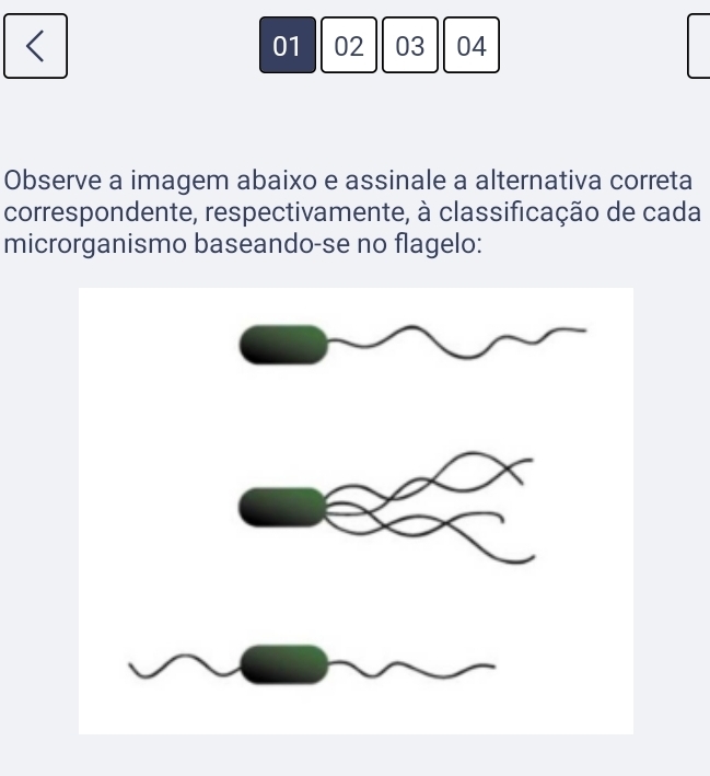 < 
01  02 03 04 
Observe a imagem abaixo e assinale a alternativa correta 
correspondente, respectivamente, à classificação de cada 
microrganismo baseando-se no flagelo: