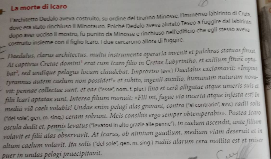 La morte di Icaro
Larchitetto Dedalo aveva costruito, su ordine del tiranno Minosse, l'immenso labirinto di Creta,
dove era stato rinchiuso il Minotauro. Poiché Dedalo aveva aiutato Teseo a fuggire dal labirinto
dopo aver ucciso il mostro, fu punito da Minosse e rinchiuso nell'edificio che egli stesso aveva
costruito insieme con il figlio Icaro. I due cercarono allora di fuggire.
Daedalus, clarus architectus, multa instrumenta operaria invenit et pulchras statuas finxit
At captivus Cretae domini' erat cum Icaro filio in Cretae Labyrintho, et exilium finiré opta-
bat^2, l, sed undique pelagus locum claudebat. Improviso (əv.) Daedalus exclamavit: «Impius
tyrannus autem caelum non possidet!» et subito, ingenii auxilio, humanam naturam nova-
vit: pennae collectae sunt, et eae (''esse'', nom. f. plur.) lino et cerā alligatae atque umeris suis et
filii Icari aptatae sunt. Interea filium monuit: «Fili mi, fugae via incerta atque infesta est! In
mediā viā caeli volabis! Undae enim pelagi alas gravant, contra ('al contrario'', avv.) radii solis
('del sole', gen. m. sing.) ceram solvunt. Meis consiliis ergo semper obtemperabis». Postea Icaro
oscula dedit et, pennis levatus (“levatosi in alto grazie alle penne"), in caelum ascendit, ante filium
volavit et filii alas observavit. At Icarus, ob nimium gaudium, mediam viam deseruit et in
altum caelum volavit. Ita solis (''del sole'', gen. m. sing.) radiis alarum cera mollita est et miser
puer in undas pelagi praecipitavit.