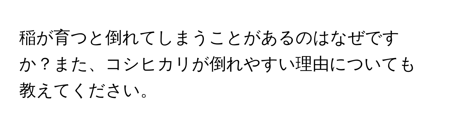 稲が育つと倒れてしまうことがあるのはなぜですか？また、コシヒカリが倒れやすい理由についても教えてください。