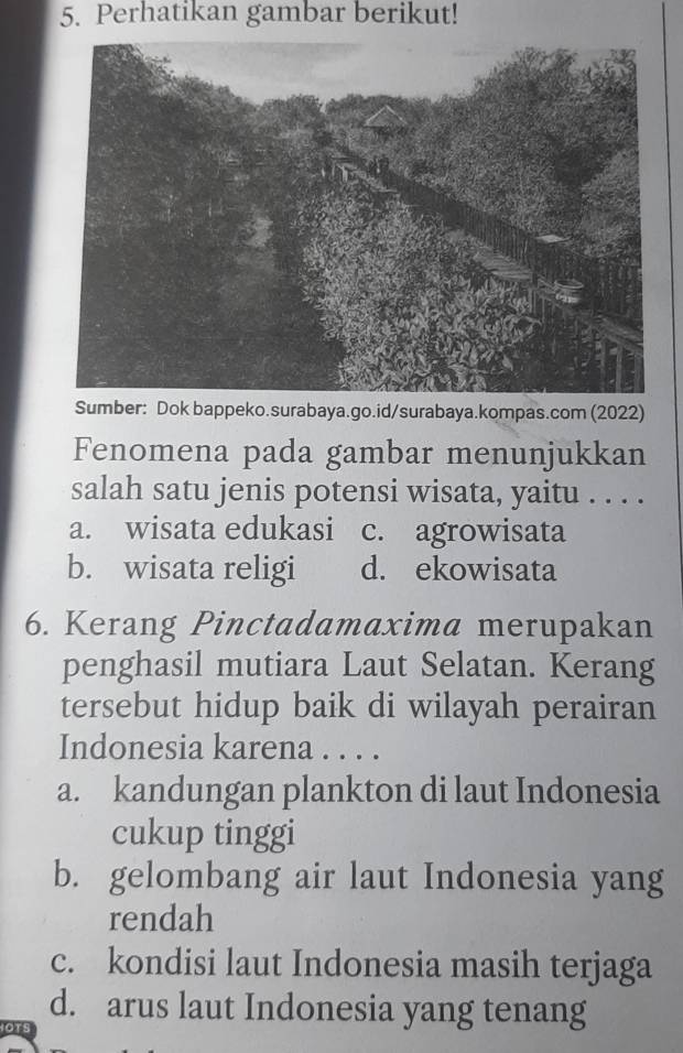 Perhatikan gambar berikut!
Sumber: Dok bappeko.surabaya.go.id/surabaya.kompas.com (2022)
Fenomena pada gambar menunjukkan
salah satu jenis potensi wisata, yaitu . . . .
a. wisata edukasi c. agrowisata
b. wisata religi d. ekowisata
6. Kerang Pinctadamaxima merupakan
penghasil mutiara Laut Selatan. Kerang
tersebut hidup baik di wilayah perairan
Indonesia karena . . . .
a. kandungan plankton di laut Indonesia
cukup tinggi
b. gelombang air laut Indonesia yang
rendah
c. kondisi laut Indonesia masih terjaga
d. arus laut Indonesia yang tenang