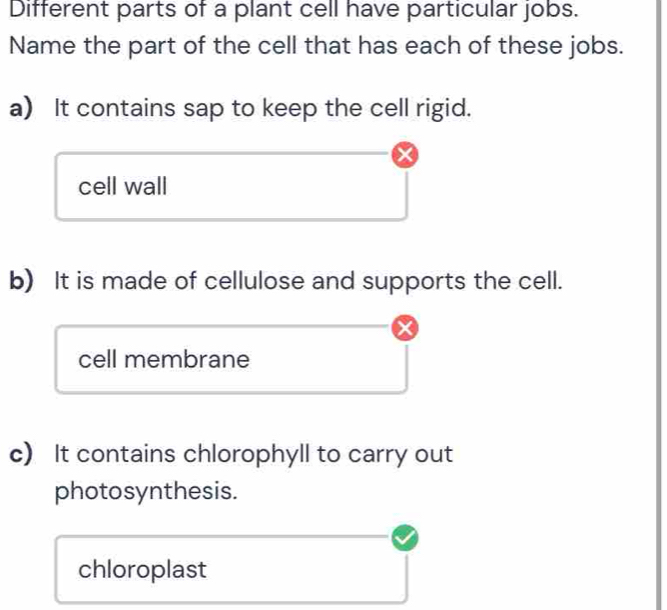 Different parts of a plant cell have particular jobs. 
Name the part of the cell that has each of these jobs. 
a) It contains sap to keep the cell rigid. 
cell wall 
b) It is made of cellulose and supports the cell. 
cell membrane 
c) It contains chlorophyll to carry out 
photosynthesis. 
chloroplast