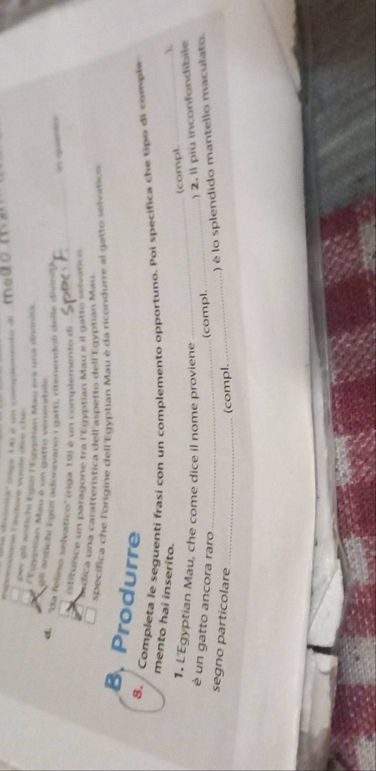 na divnitá'' (riga 14) é un compdenento di 
expressonse lautore voote dre che 
per gli antichi Egin l'Egyptian Mau ers una dinis 
'Egyptian Mau è un gatto venerabile 
gli antichi Egizí adoravano i gatti, ritenendoli delle divin ila 
in quanter 
'da felino selvatico'' (riga 19) é un complemento di_ 
istituisce un paragone tra l'Egyptian Mau e il gatto selvativo. 
isdica una caratterística dell'aspetto dell Egyptian Máu. 
specífica che l'origine dell'Egyptian Mau é da ricondurre al gatto selvático 
B. Produrre 
8. Completa le seguenti frasi con un complemento opportuno. Poi specifica che tipo di comple 
mento hai inserito. 
(compl._  
1. L'Egyptian Mau, che come dice il nome proviene_ 
è un gatto ancora raro_ 
(compl. _) 2. Il più inconfondibile 
segno particolare_ 
(compl. _) é lo splendido mantello maculato.