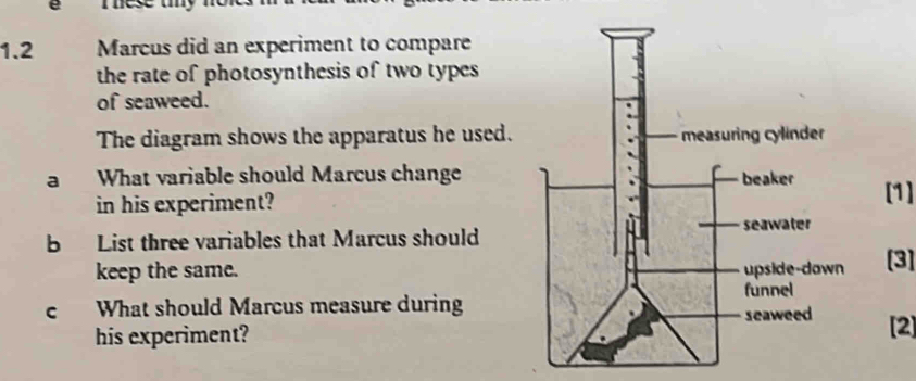 1.2 Marcus did an experiment to compare 
the rate of photosynthesis of two types 
of seaweed. 
The diagram shows the apparatus he used. 
a What variable should Marcus change[1] 
in his experiment? 
b List three variables that Marcus should 
keep the same. [3] 
c What should Marcus measure during 
his experiment?[2]