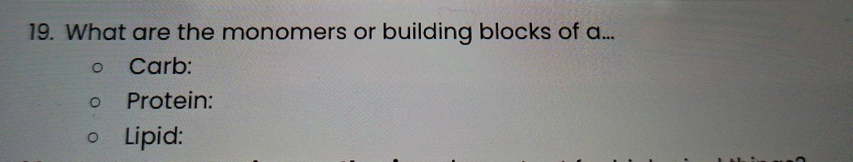 What are the monomers or building blocks of a... 
Carb: 
Protein: 
Lipid: