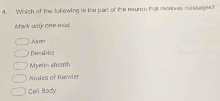 Which of the following is the part of the neuron that receives messages?
Mark only one oval.
Axon
Dendrite
Myelin sheath
Nodes of Ranvier
Cell Body