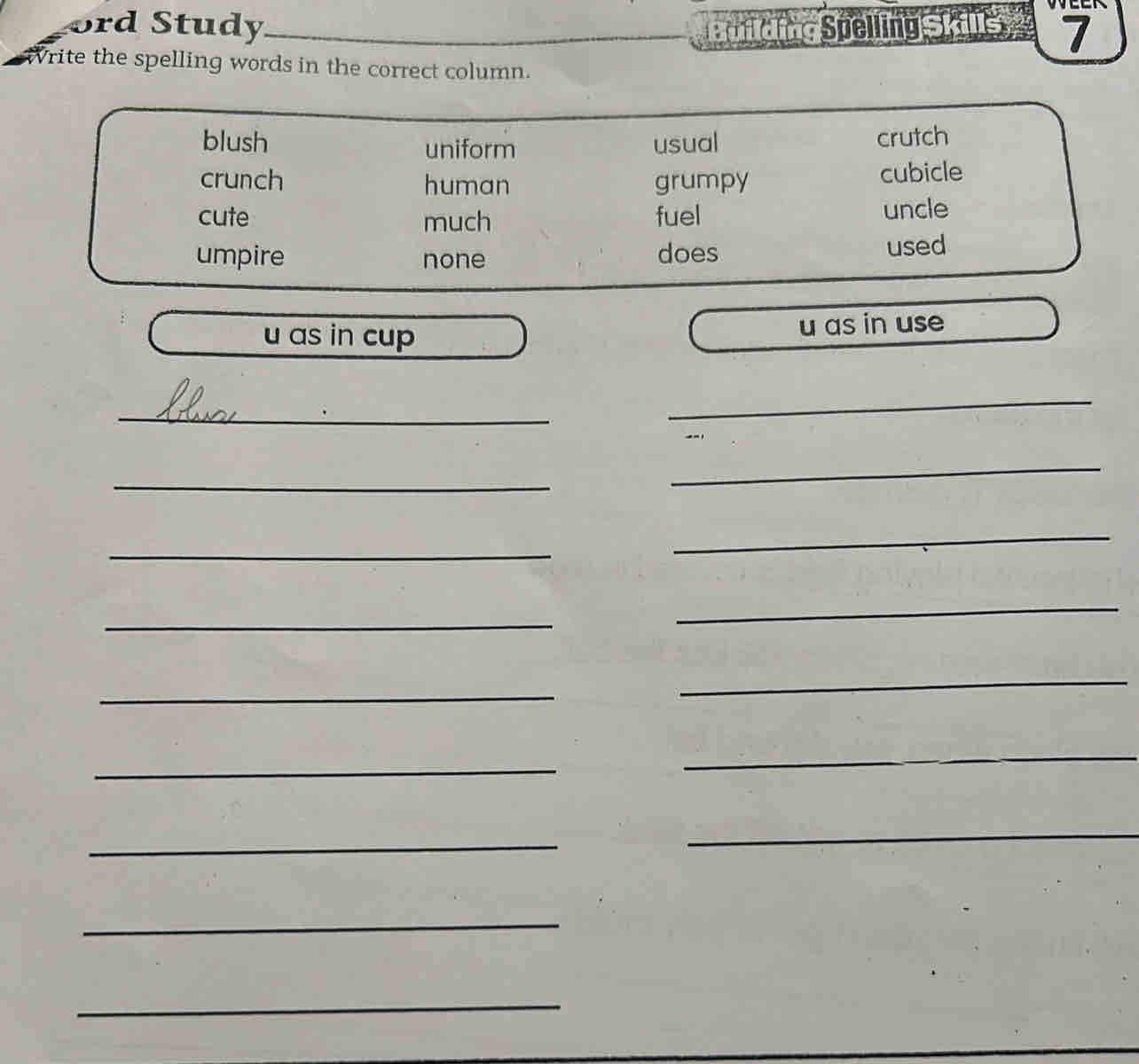 Solved: ord Study Burding Spelling Skilie 7 Write the spelling words in ...