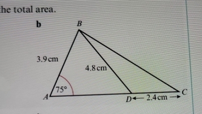 the total area.