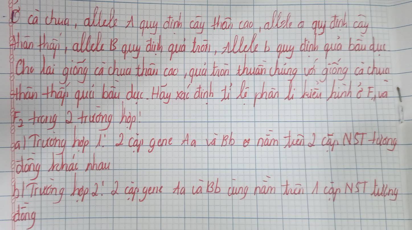 ca chun, ollele x guy din cay thán cao, ollole a gy dinh cay 
thān thài allo B quy dig quà bhoi, stede b gug din quā bau du( 
cho lai qiōng cùchua thāi cao quà thān thuán chàng uó giōng cachu 
thān thán qui bāu duc. Hay xà( dinb li xú chàn Ii kièi huhè īua
F_2 trang Q thuāng hop 
Qai Thuōng hàp 2 cóg gene Ha à Bb nán tuā cán NST fuāng 
dong rihai nhau 
blung hop dí cn geng Ag ca sb cung hám thān A can NST lung 
dōng