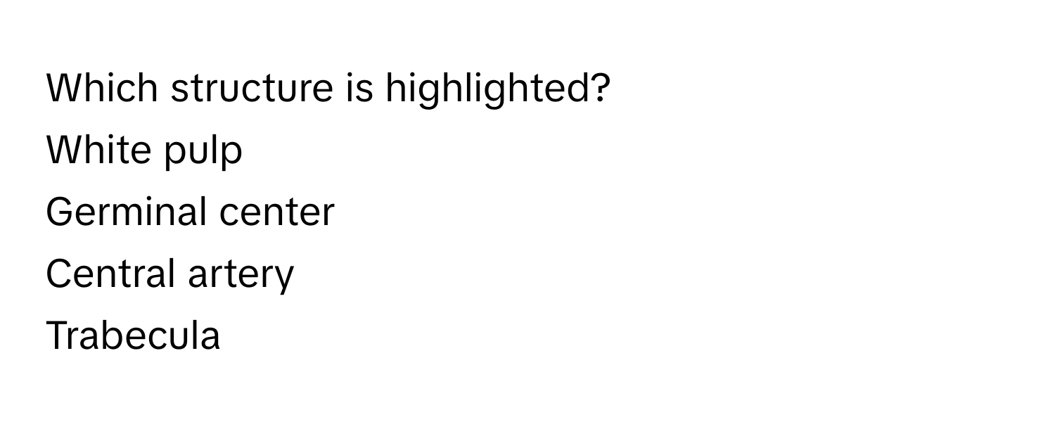 Which structure is highlighted? 
White pulp
Germinal center
Central artery
Trabecula