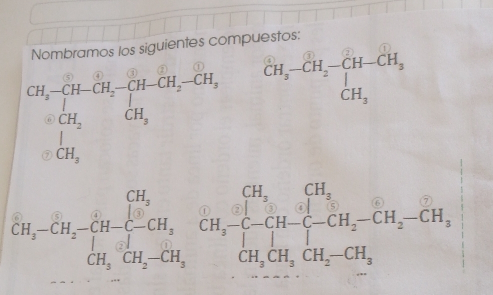 Nombramos los siguientes compuestos:
CH_2· CH· CH_2· CH_2· CH_3·  CH_ CH_2CH_2 H_2 beginarrayr CH_3-CH_2-CH-CH_3 CH_3endarray
CH_2-CH_2ClH-CH_2CH_3CH_2CH _2CH_3C-CH_3H-CH_2-CH_2-CH_2CH_2-CH_2_CH_2CH_2-CH_3