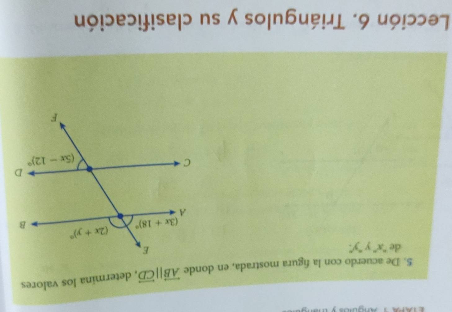 De acuerdo con la figura mostrada, en donde overleftrightarrow AB||overleftrightarrow CD , determina los valores
de ''x'' y ''y''.
Lección 6. Triángulos y su clasificación